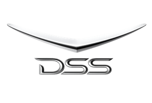 Dynamic Stability Systems logo